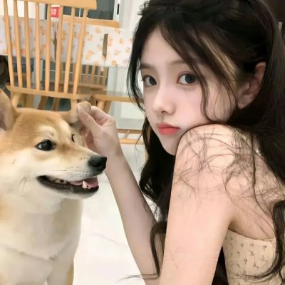 雪地灵犬3